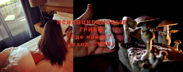 гашиш Дмитриев