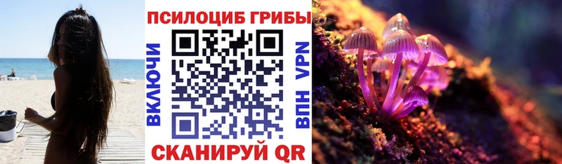 Галлюциногенные грибы мицелий  Купить  Апшеронск 